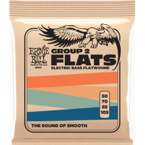 Ernie Ball 2804 Flatwound Stainless Steel Bass GR2